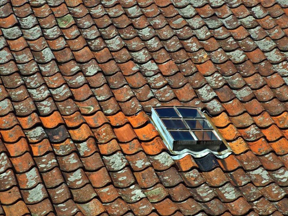 Weathered clay roof tiles around a skylight